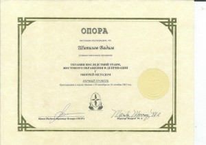 Шипилов Вадим Геннадьевич - 2