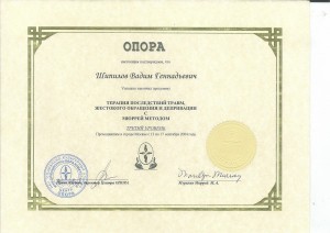Шипилов Вадим Геннадьевич - 3